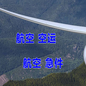 额济纳旗桃来机场快递快递-选东方航空和上海航空